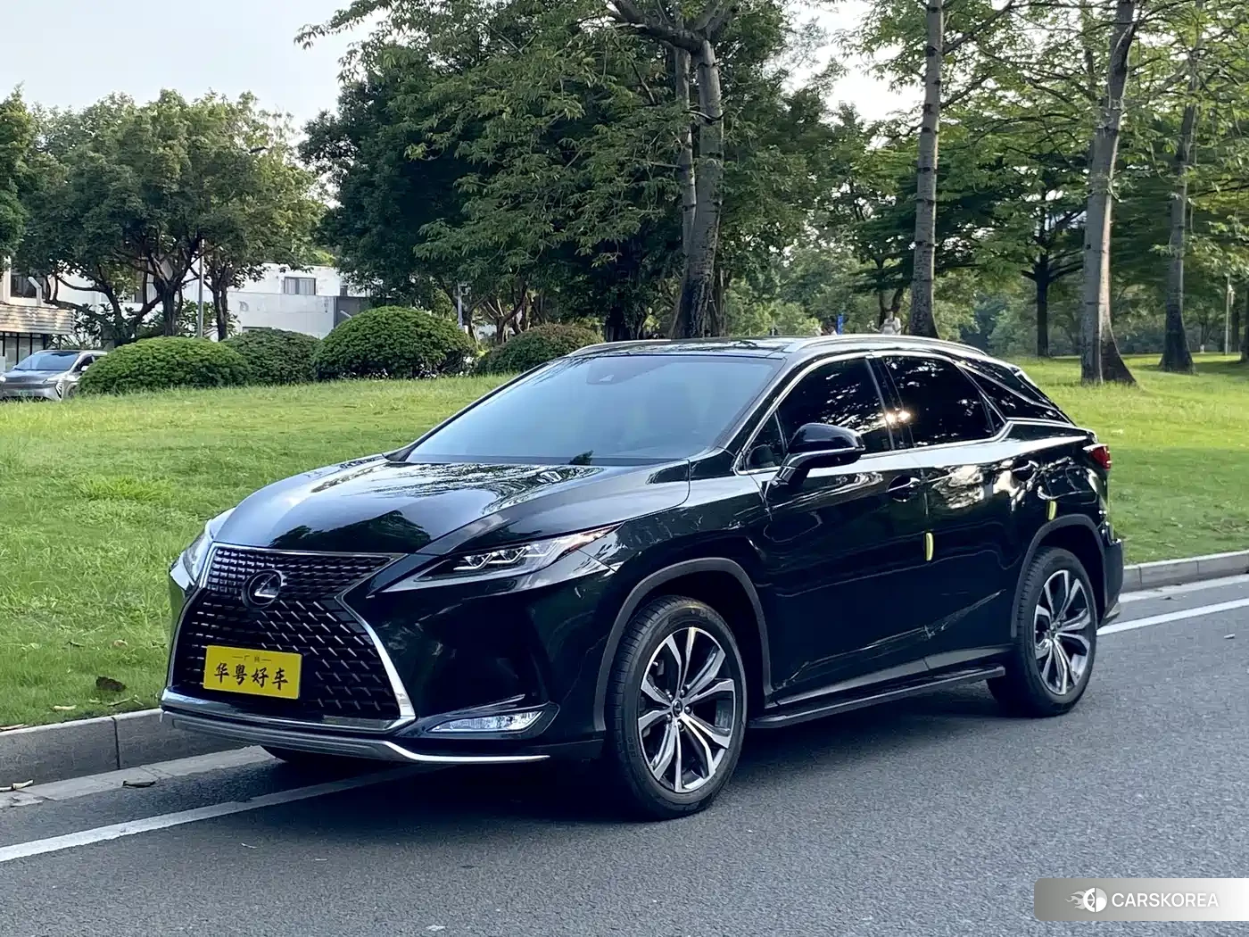 Lexus RX id 4547211 из Китая 16