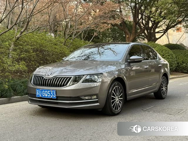 Skoda Octavia 2019 Коричневый из Китая, фото 6
