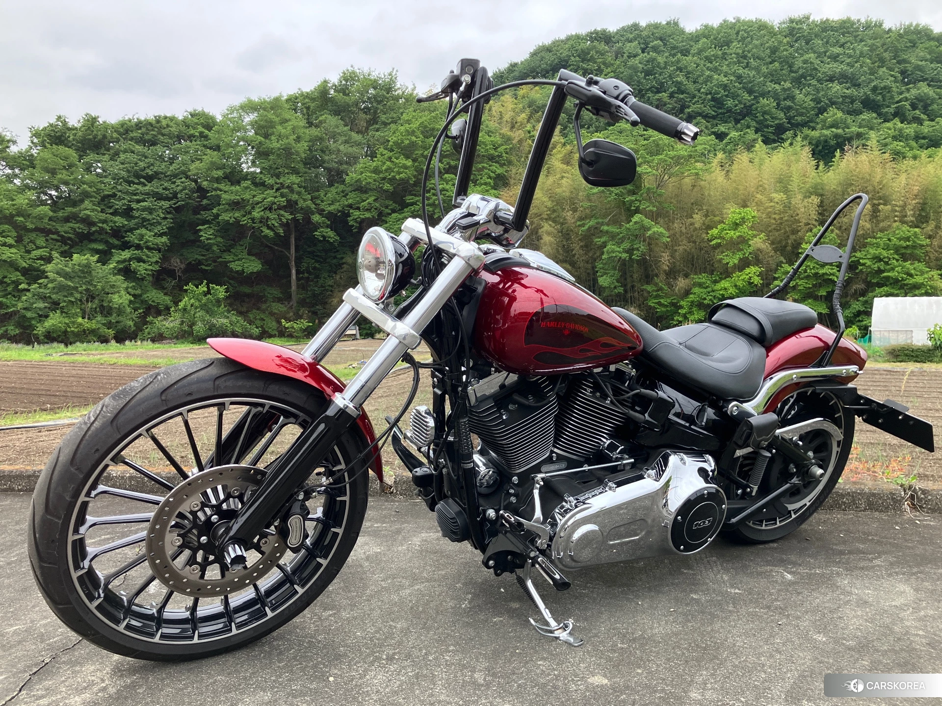 Harley-Davidson Softail Breakout FXSB 2017 из Японии, фото 3