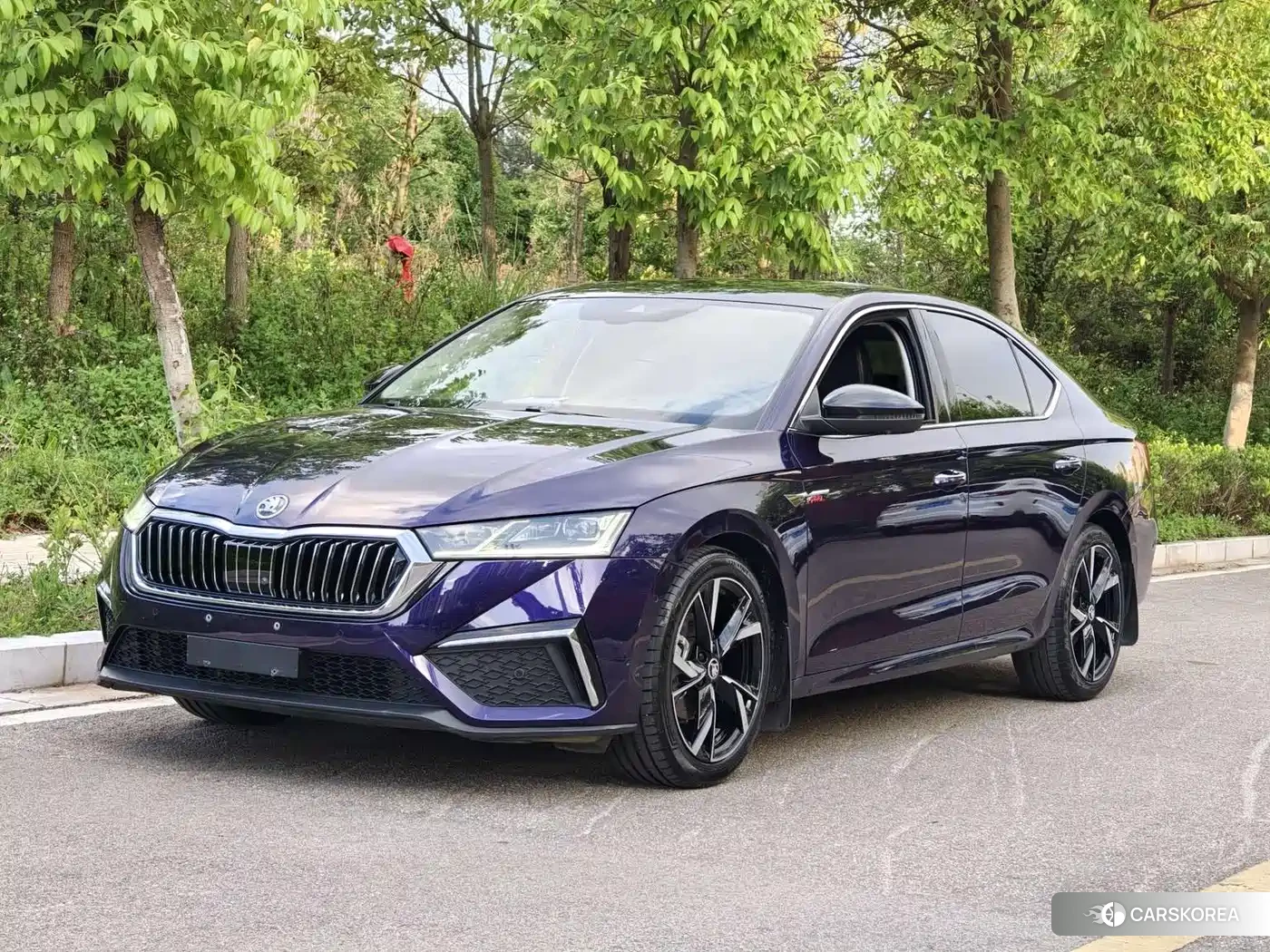 Skoda Octavia id 4600482 из Китая 18