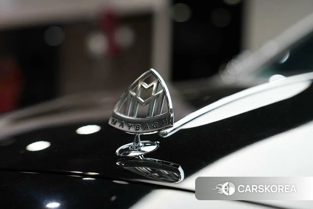 Mercedes-Benz Maybach S-class id 4334835 из Китая 36