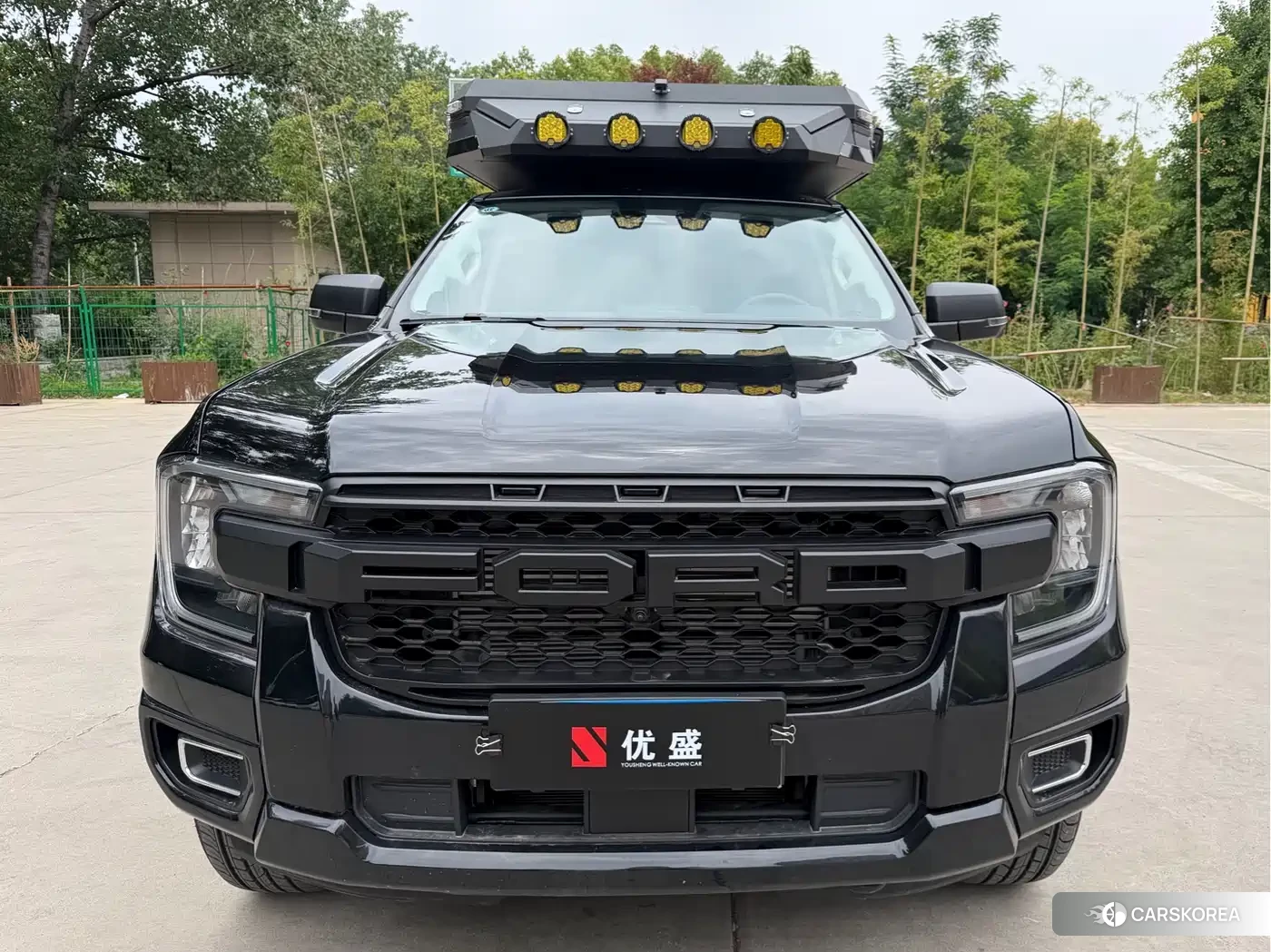 Ford Ranger Ranger id 4515422 из Китая 43