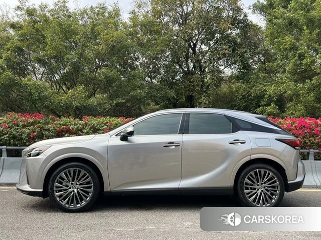 Lexus RX id 4291278 из Китая 12