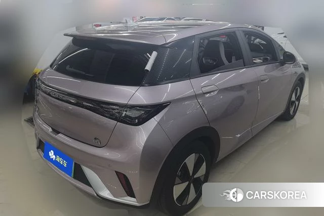 BYD dolphin id 4254818 из Китая 12