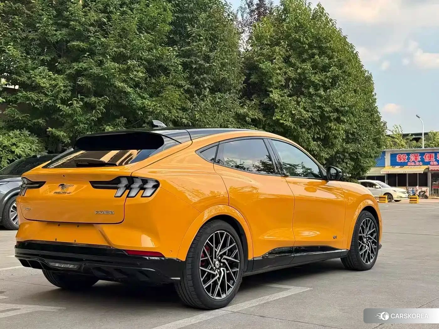 Ford Electric horse 2024 Yellow/orange из Китая, фото 5