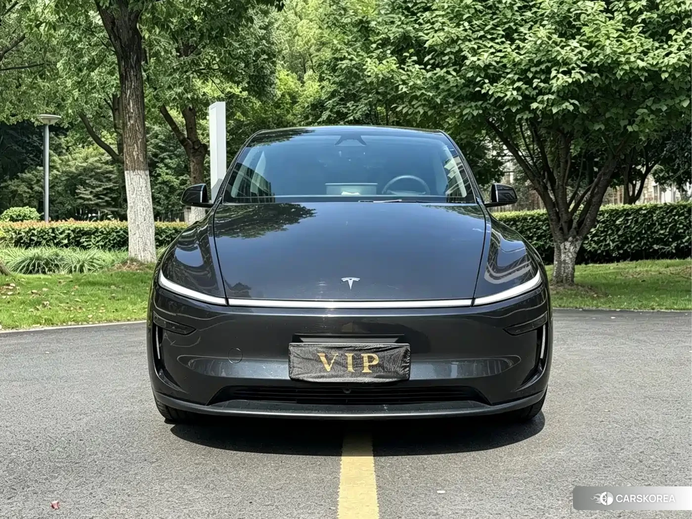 Tesla Model Y 2025 Silver/gray из Китая, фото 6