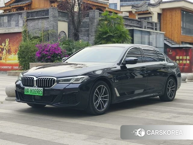 BMW 5 series PHEV id 4333418 из Китая 24