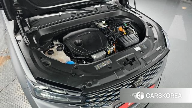 Renault Korea (Samsung) Grand Coleos id 4773471 из Кореи 32