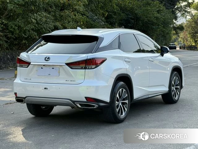 Lexus RX id 4291279 из Китая 10