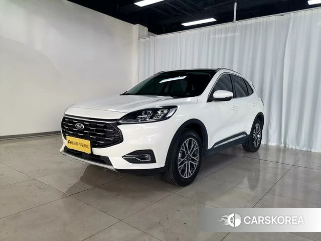 Ford Ruiji id 4393348 из Китая 15
