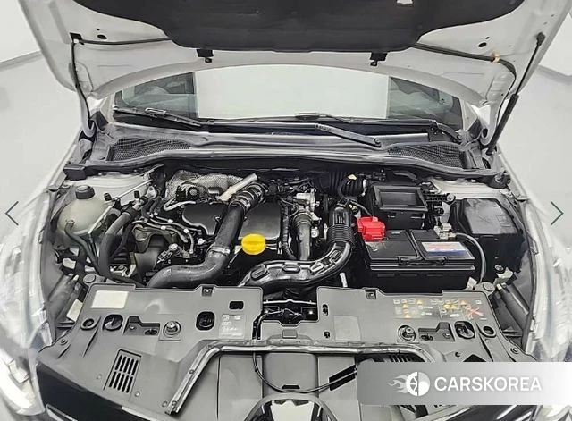 Renault Korea (Samsung) Clio id 3993001 из Кореи 13