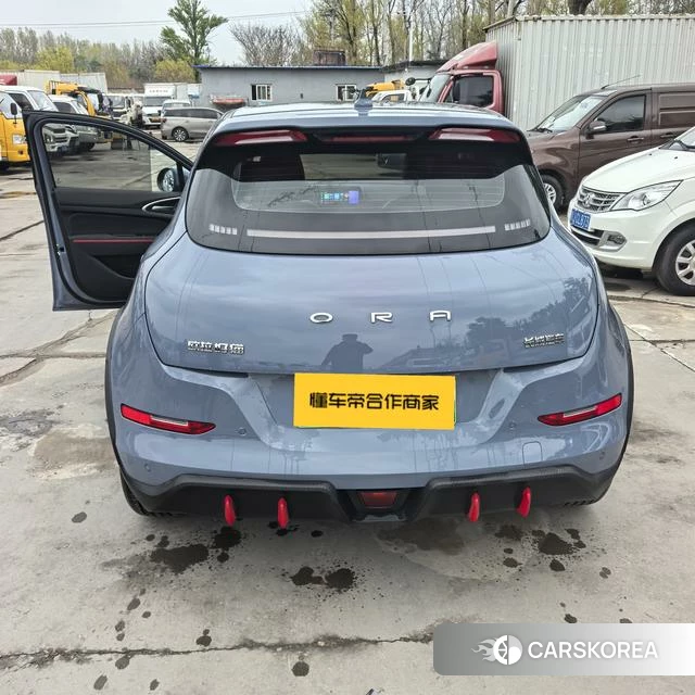 Euler Good cat GT 2023 Темно-серый из Китая, фото 5