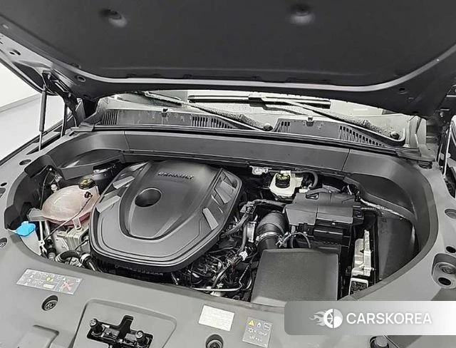 Renault Korea (Samsung) Grand Coleos id 4695904 из Кореи 14
