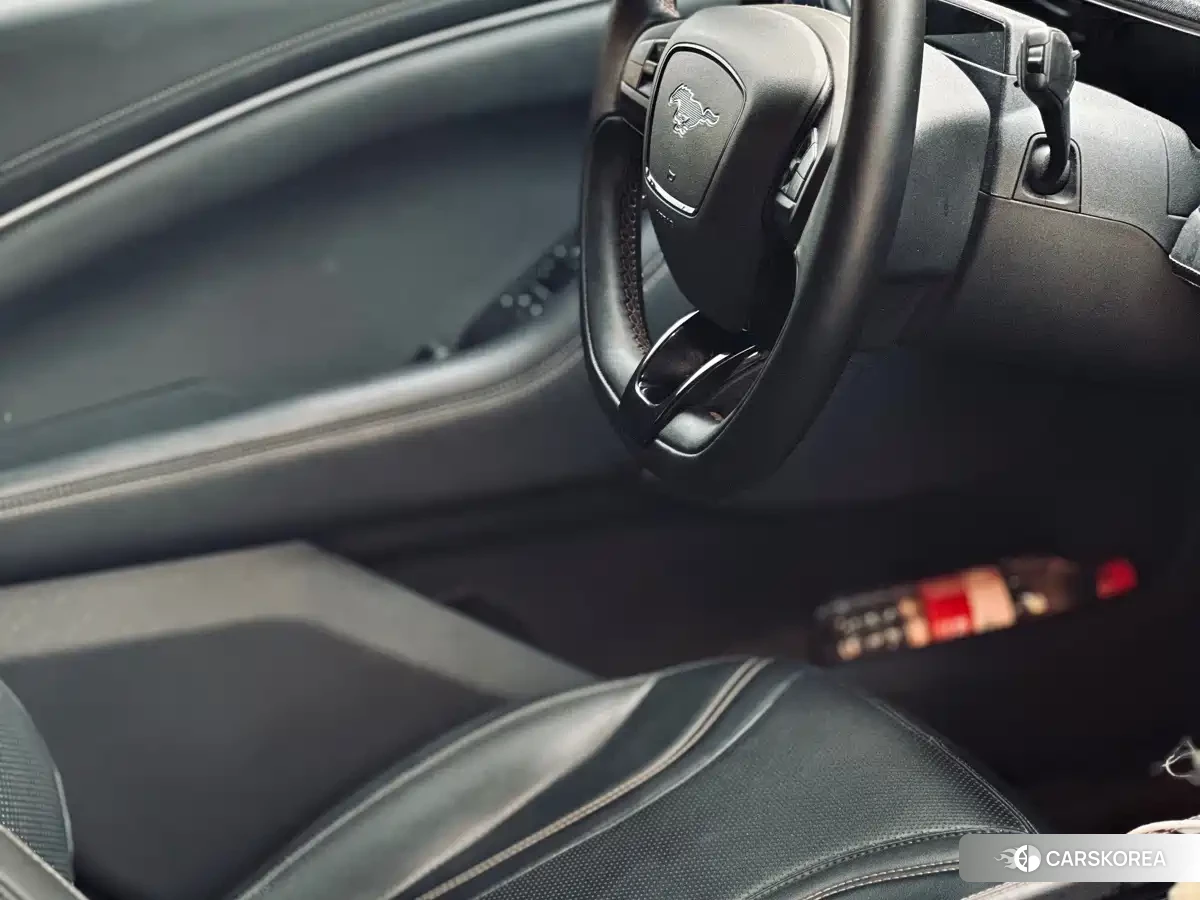 Ford Electric horse 2022 Черный из Китая, фото 5