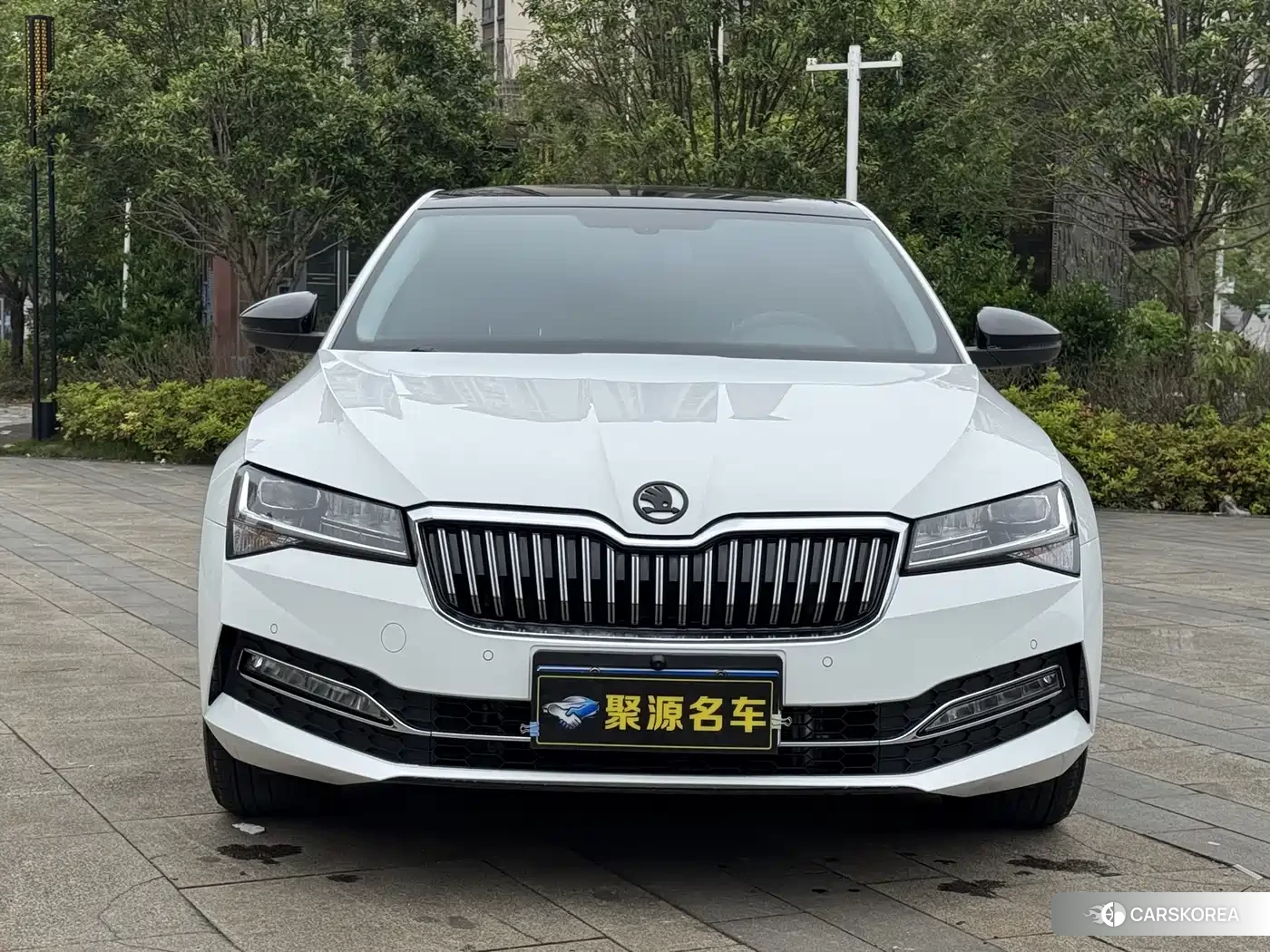 Skoda Speed pie 2024 Белый из Китая, фото 5