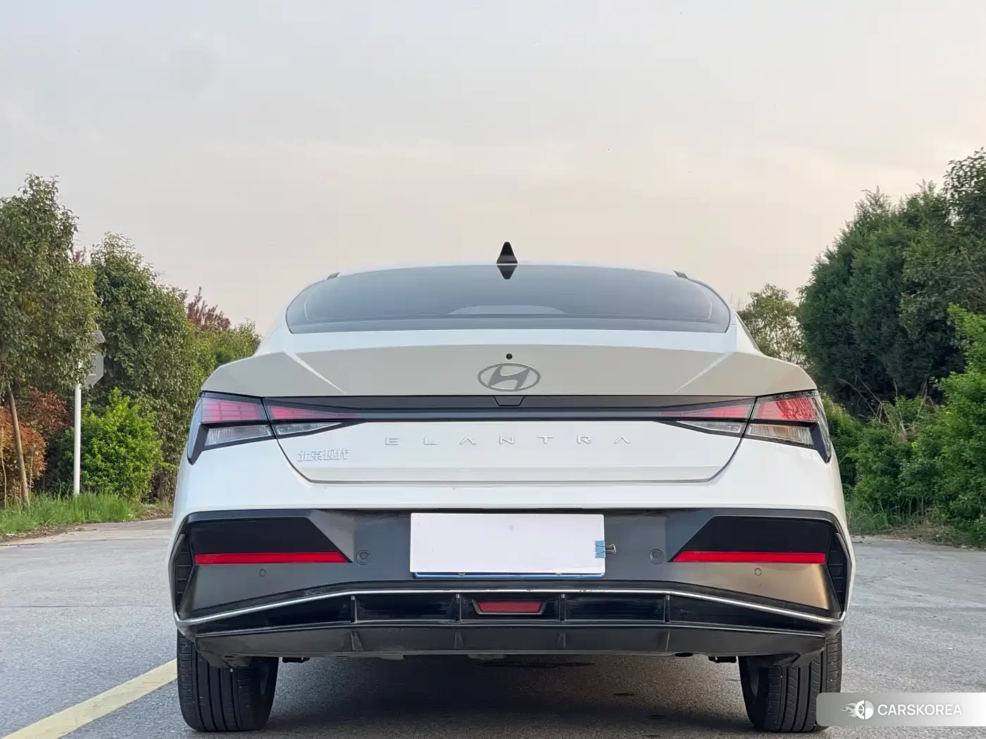 Hyundai Elantra id 4545654 из Китая 10