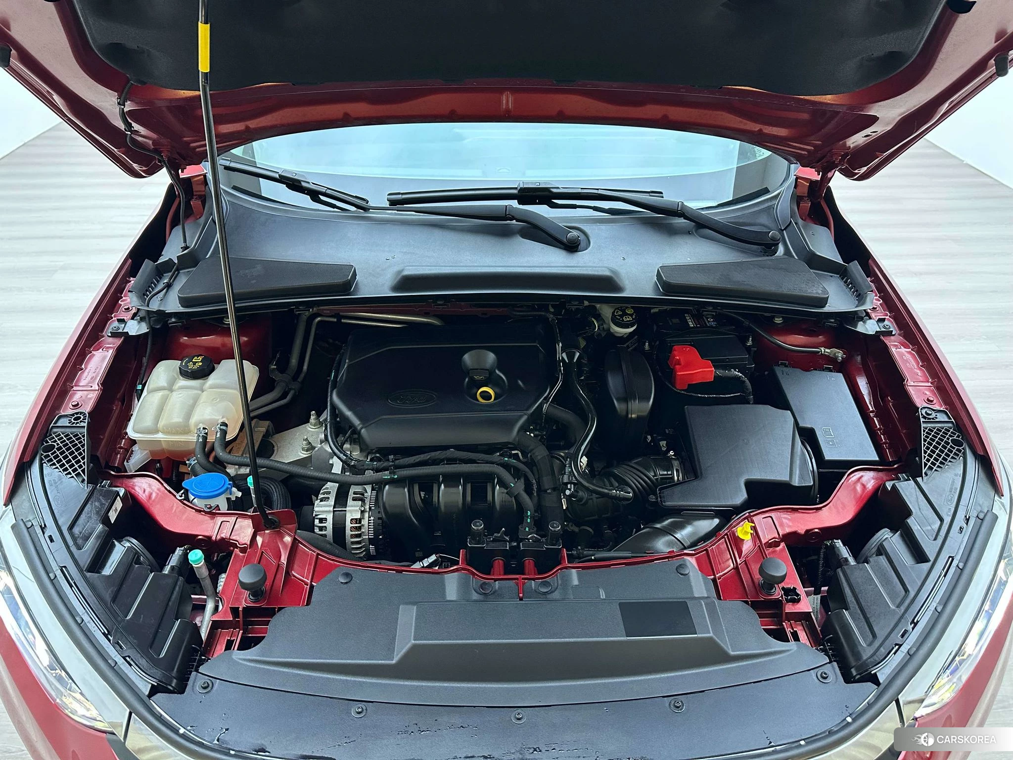 Ford Forrest id 4485485 из Китая 14