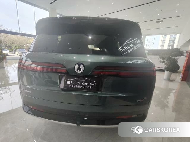 Denza N9 DM 2025 Другой из Китая, фото 5