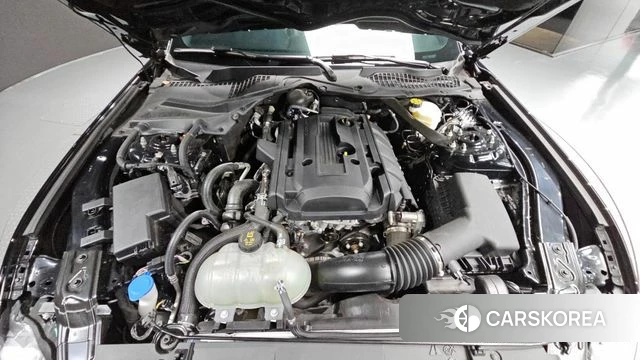 Ford Mustang id 4720273 из Кореи 27