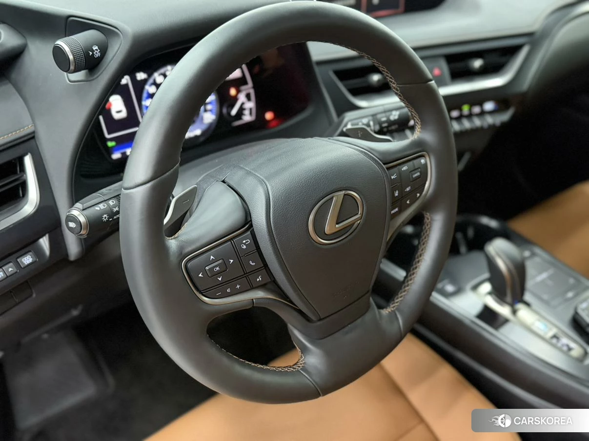 Lexus UX EV id 4498572 из Китая 14