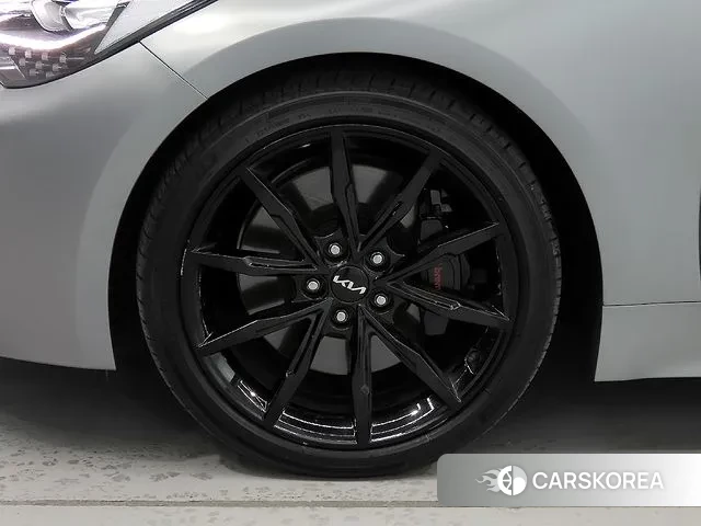 Kia Stinger Meister id 3305738 из Кореи 15