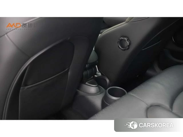 MINI MINI 2021 Зеленый из Китая, фото 5