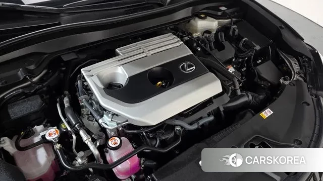 Lexus UX250h id 3492022 из Кореи 15