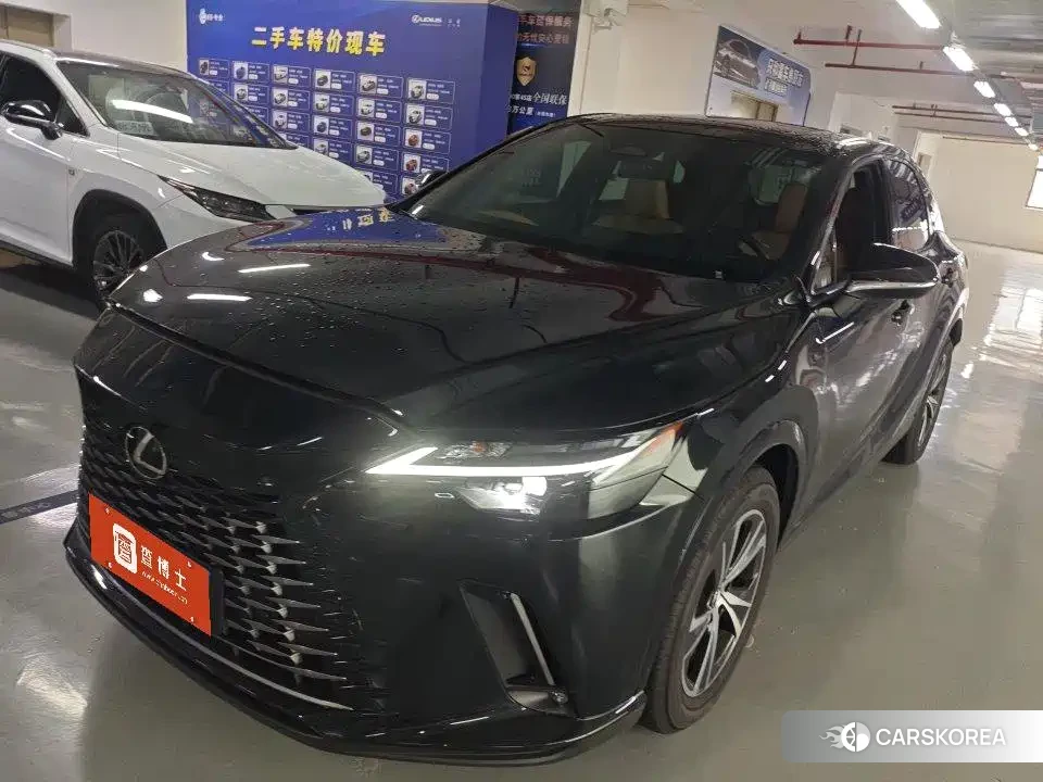 Lexus RX id 4644520 из Китая 10