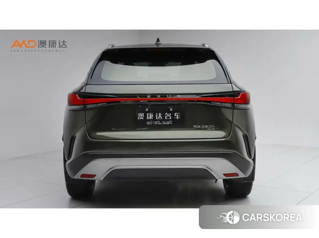 Lexus RX 2023 Зеленый из Китая, фото 5