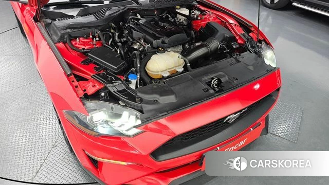 Ford Mustang id 4415687 из Кореи 25