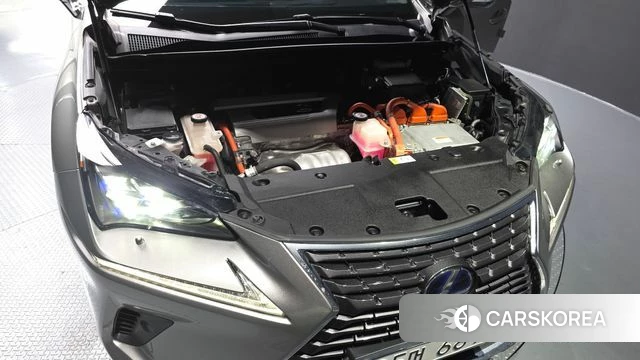 Lexus NX300h id 3880300 из Кореи 15