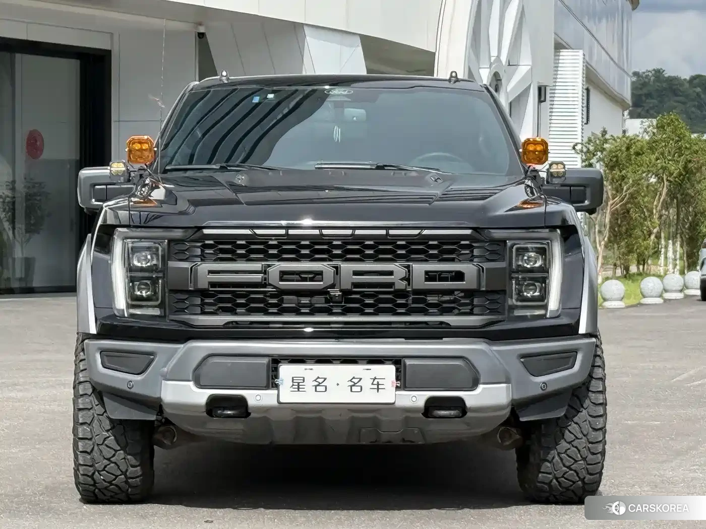 Ford F-150 Raptor id 4578270 из Китая 11