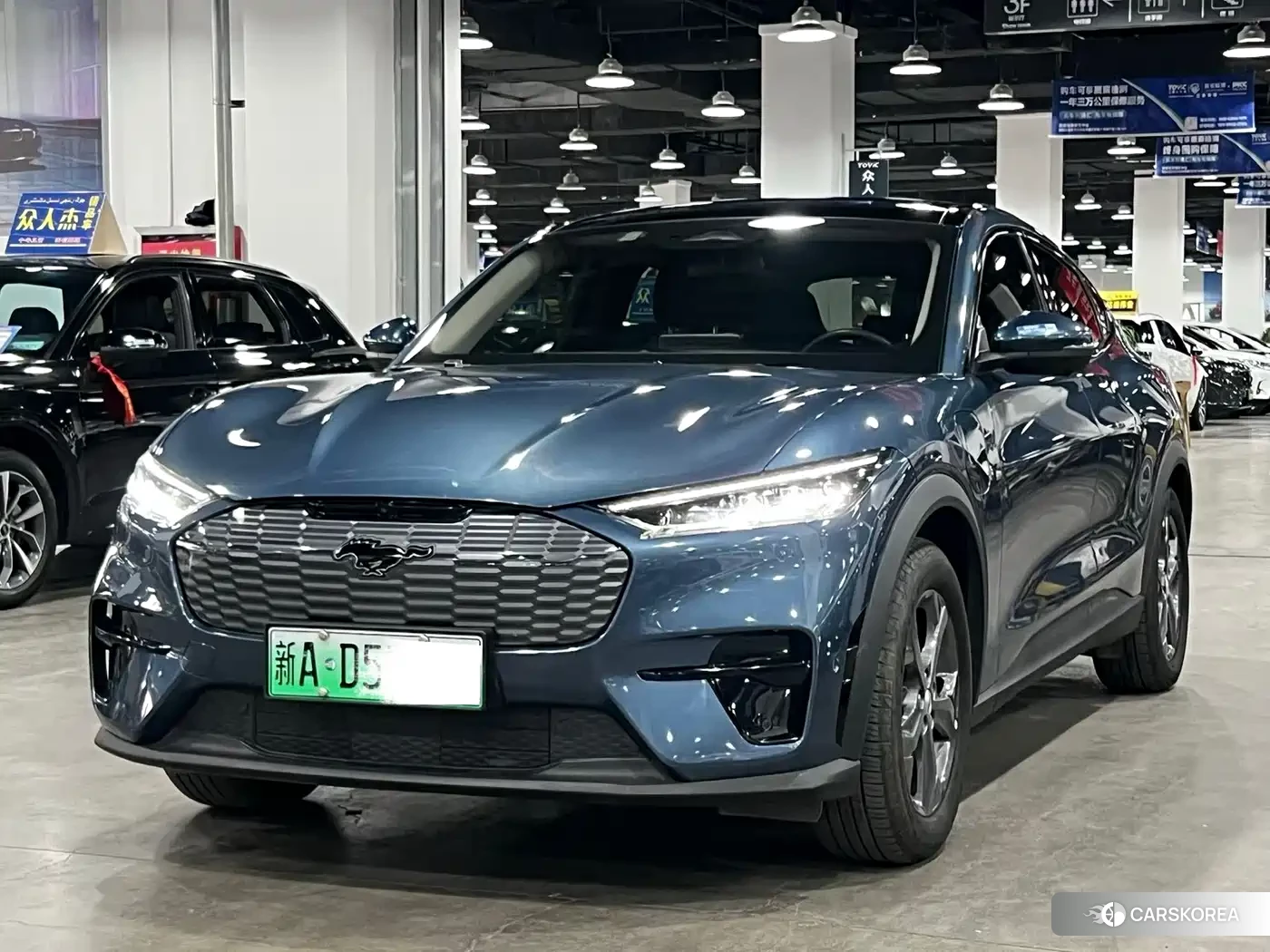 Ford Electric horse 2023 Синий из Китая, фото 5