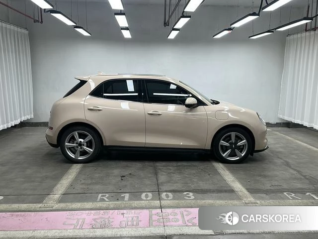 Euler Good cat id 3875987 из Китая 15