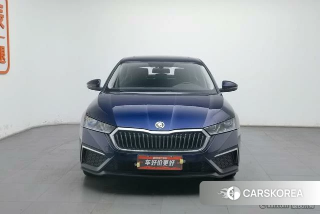 Skoda Octavia id 4210534 из Китая 19