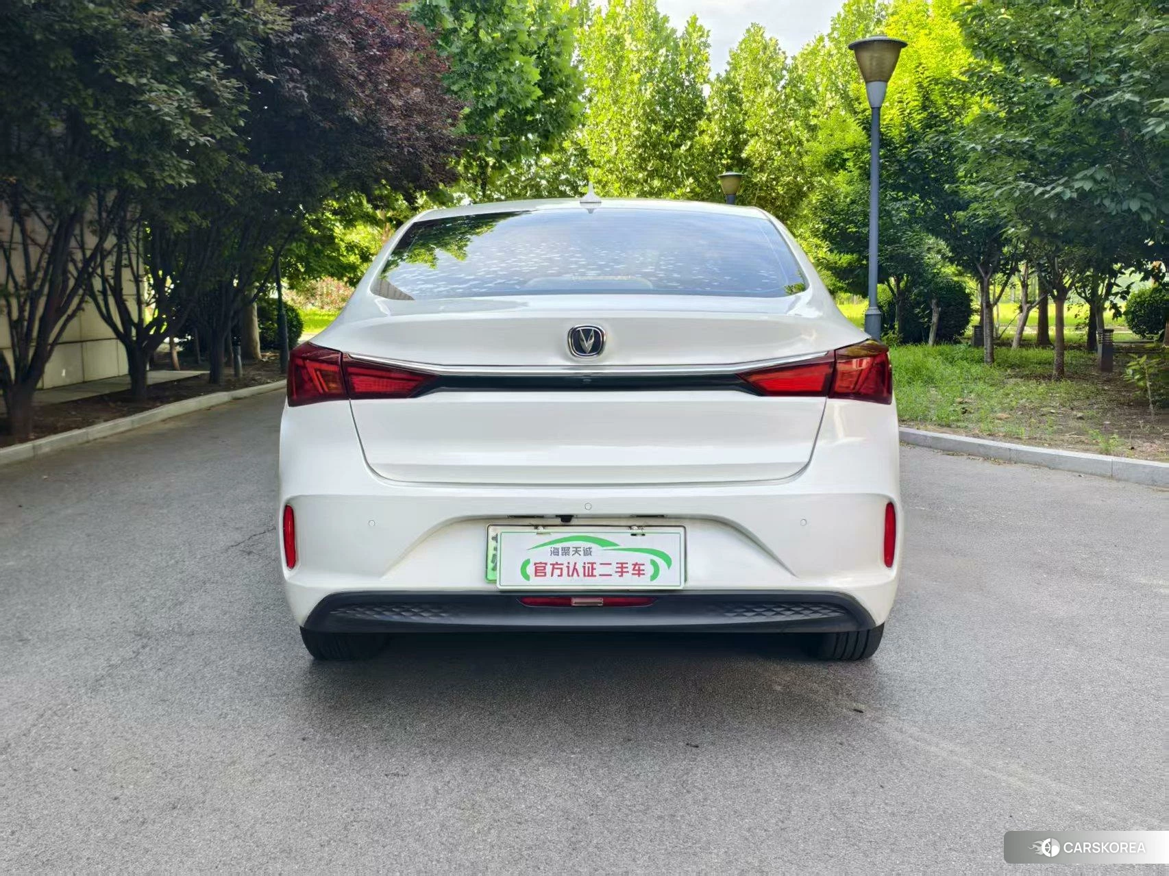 Chang'an Yidong EV 2018 Белый из Китая, фото 6