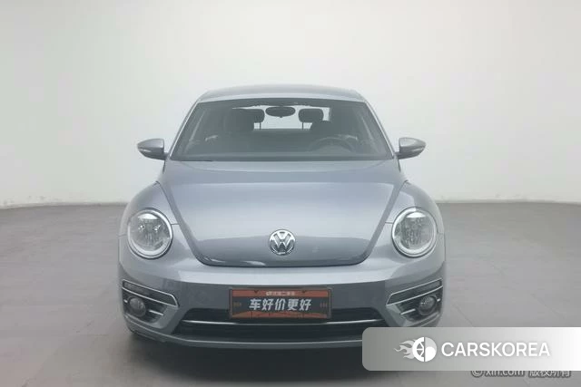 Volkswagen Beetle id 4210594 из Китая 19