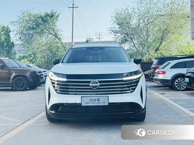 Nissan Exploring the land id 4301826 из Китая 10