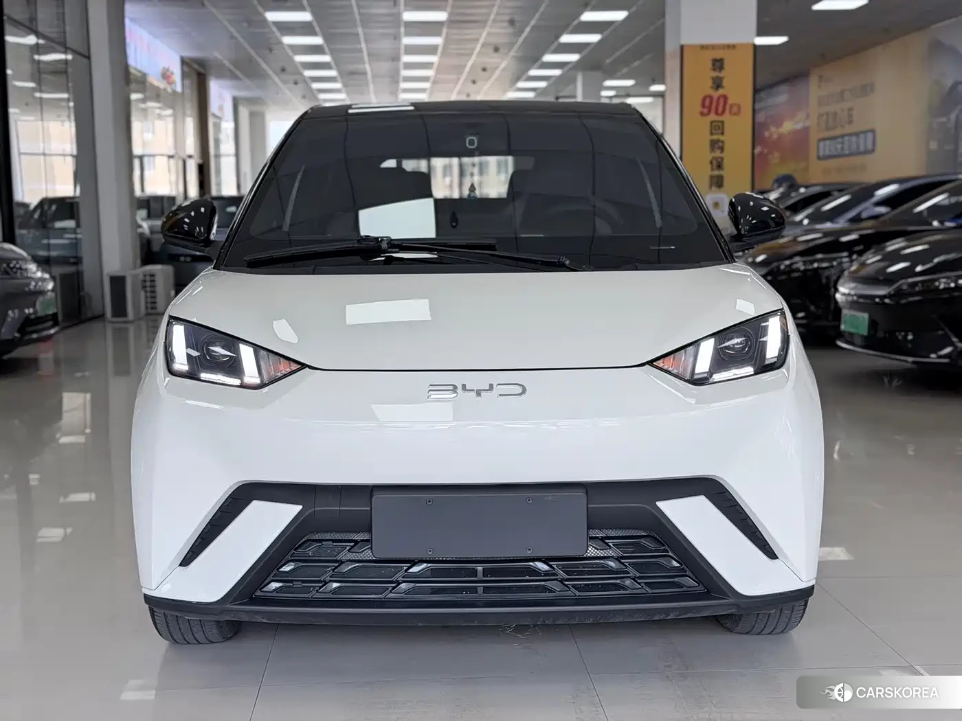 BYD Seagull id 4548278 из Китая 8