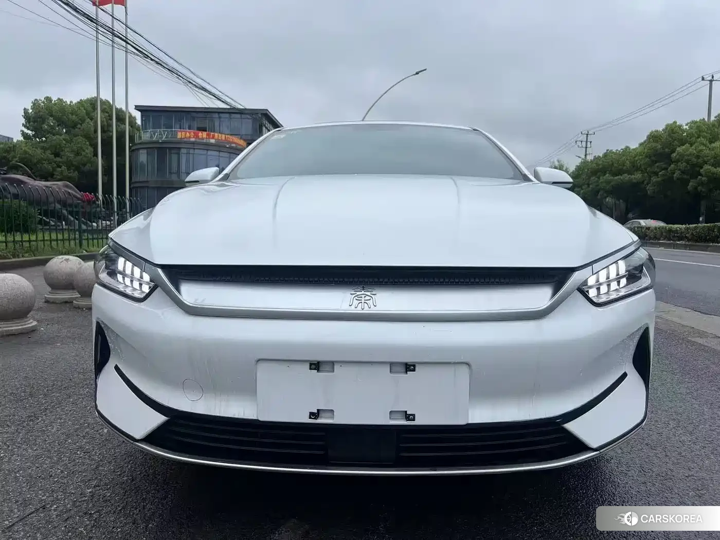 BYD Qin Yuan id 4539464 из Китая 9