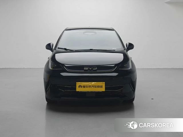 BYD dolphin id 3957663 из Китая 15