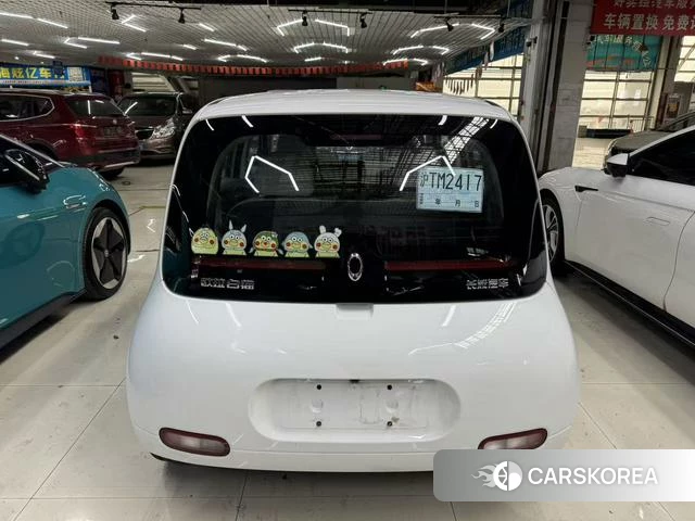 Euler White cat 2021 Белый из Китая, фото 6