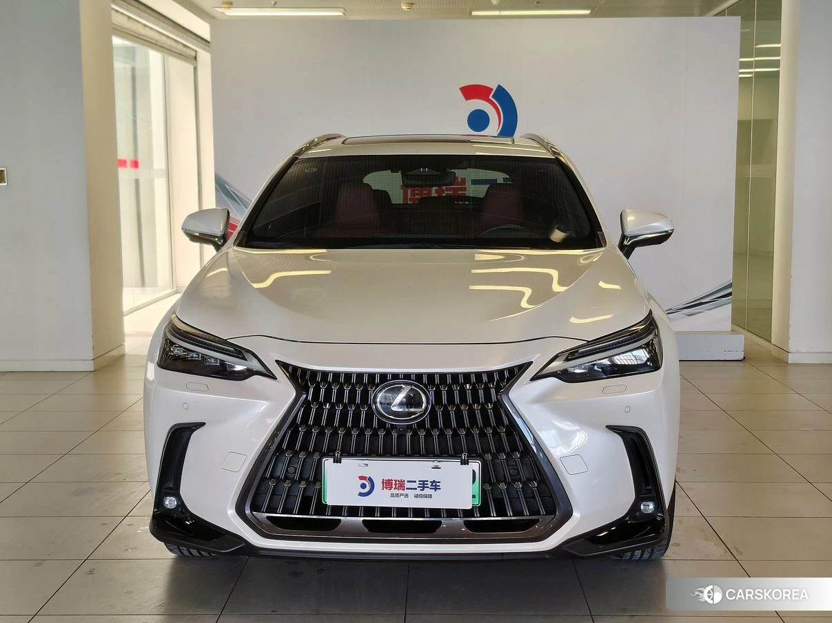 Lexus NX PHEV id 4498690 из Китая 29