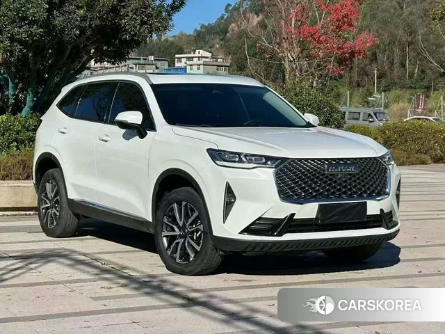 Haval H6 2022 Белый из Китая, фото 5