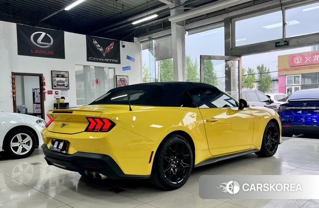 Ford Mustang id 4209132 из Китая 24