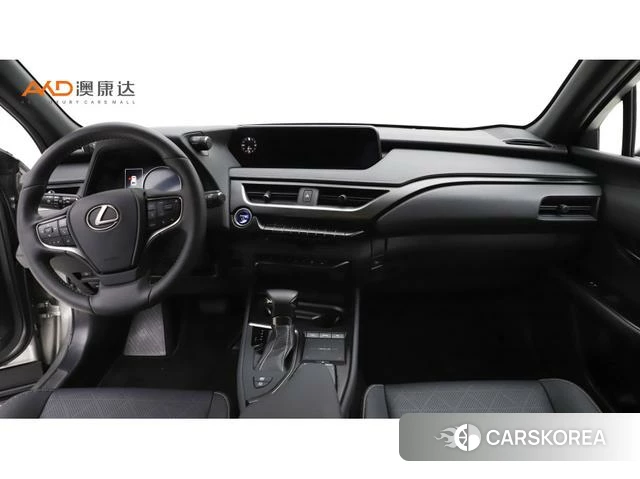 Lexus UX 2022 Другой из Китая, фото 5