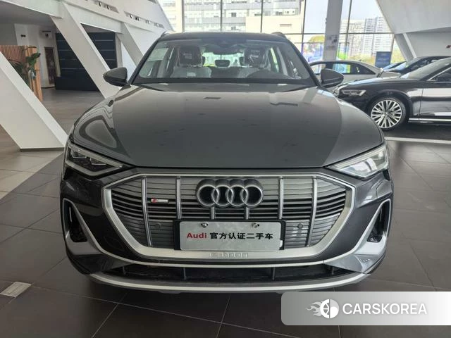 Audi e-tron id 3920664 из Китая 13