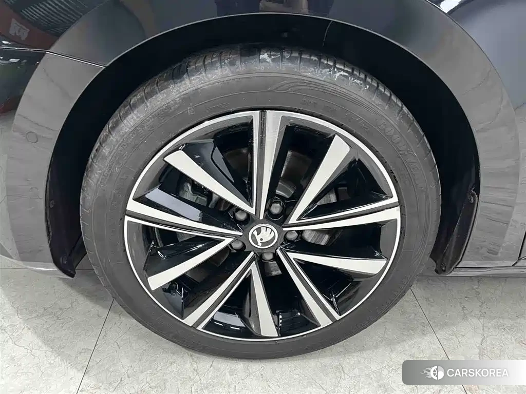 Skoda Speed pie id 4515526 из Китая 20