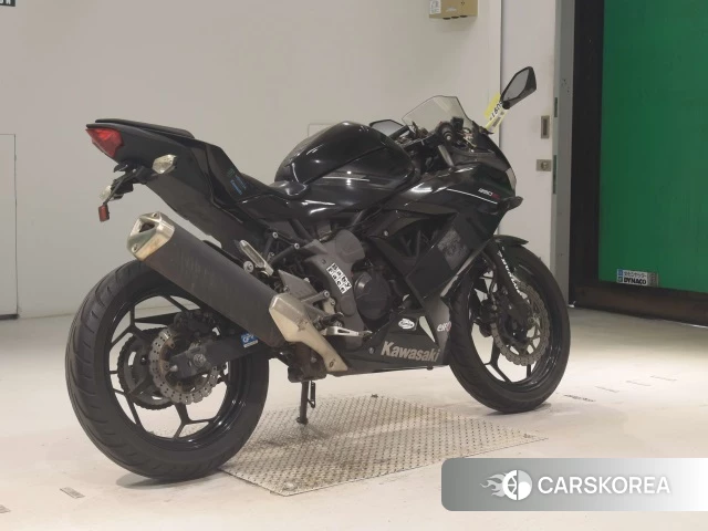 Kawasaki NINJA 250SL 2015 из Японии, фото 5