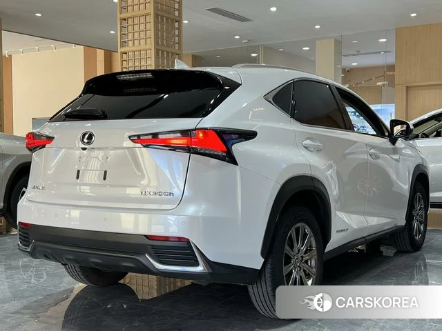 Lexus NX id 4262440 из Китая 14